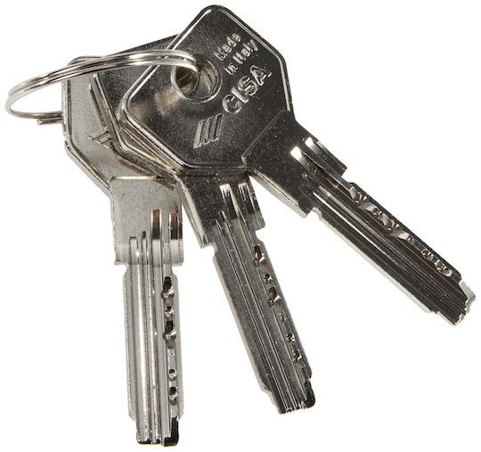 Cisa Lock Cylinder Security Asix 90mm (35-55) with 5 Keys Silver