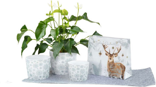 Χριστουγεννιάτικο Κασπώ Scheurich Silver Snow 870/13 Χριστουγεννιάτικο Κασπώ Scheurich Silver Snow 870/13