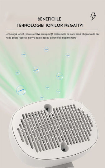 Electric Pet Grooming Brush Mdro Massage Function Negative Ion Sterilization Wood Lamp Pointer Playtime Usb Charging