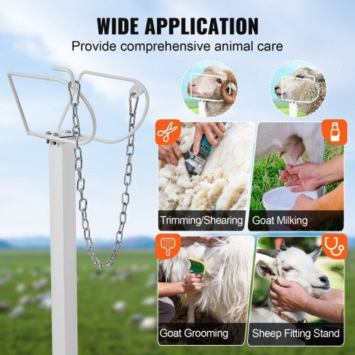 Vevor Goat Cutting Stand 21"-33" 47x23 White Scxjjbsytm47jnhgxv0