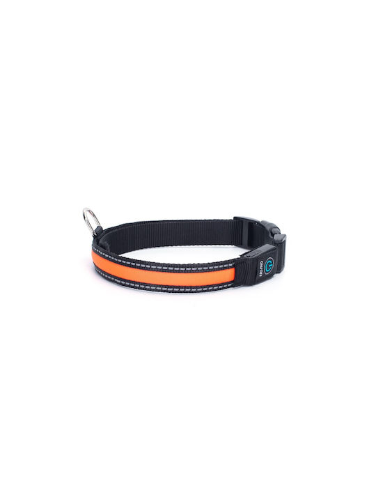 Nobleza Dog Collar Nylon (Various Colors)