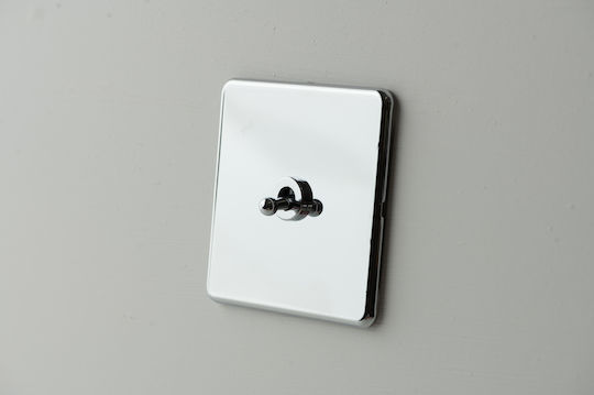 Luxor Silver Metallic Switch Vichema 1 Gang 2 Way 10a Chrome Silver
