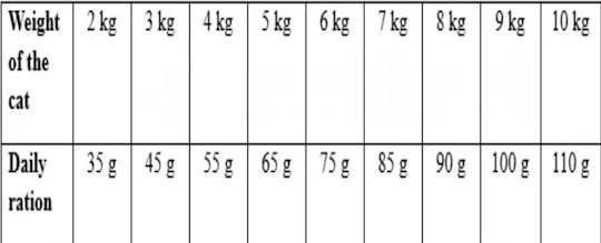 Wellmax Ξηρά Τροφή Γάτας Adult Sterilised Beef Monoprotein 2kg