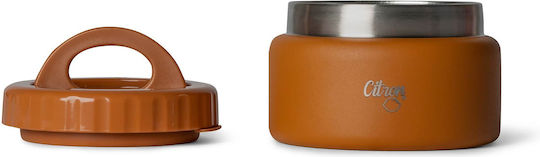 Citron Lunchbox Kunststoff Braun 250ml 1Stück