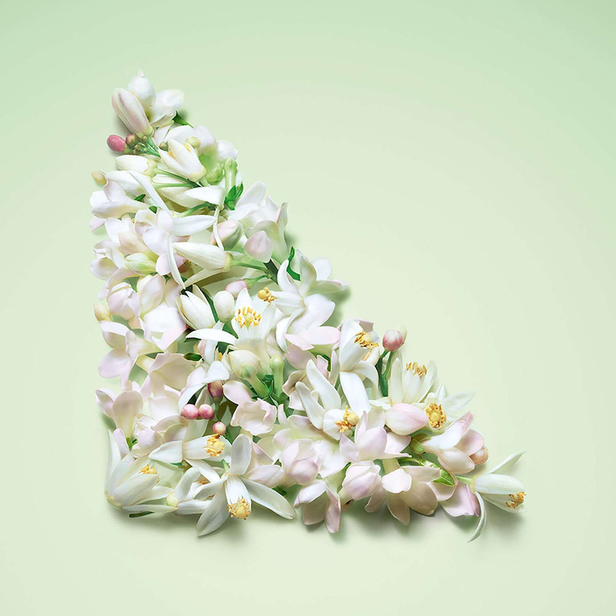 Prada Paradoxe Virtual Flower Eau de Parfum Reincarabila 30ml