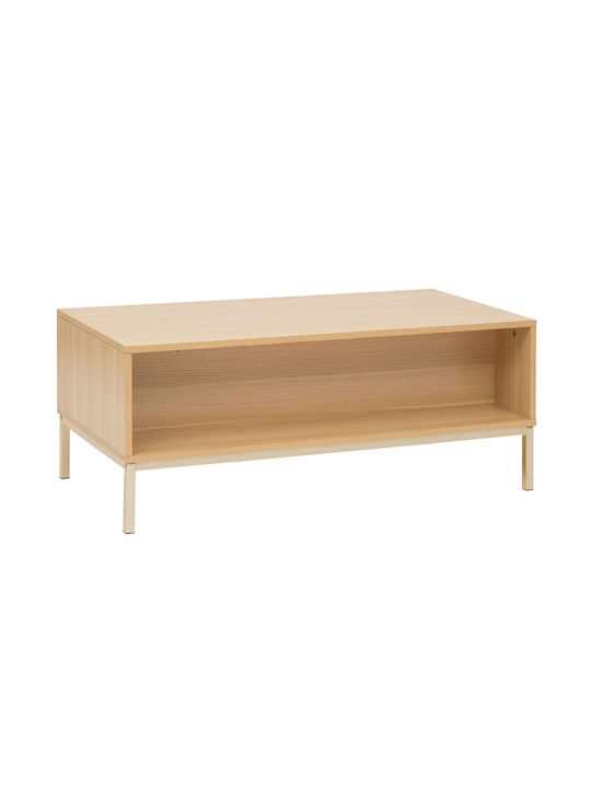 Rectangular Central Coffee Table Tasso Wooden with Drawers Brown M100xW40xH50cm