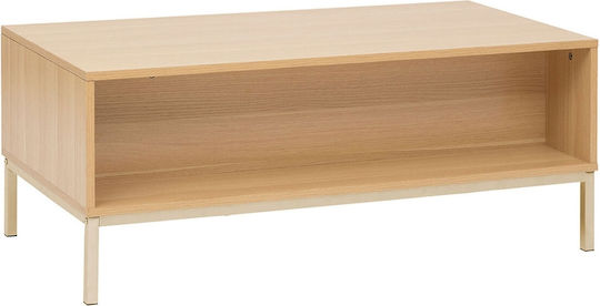 Rectangular Central Coffee Table Tasso Wooden with Drawers Brown M100xW40xH50cm