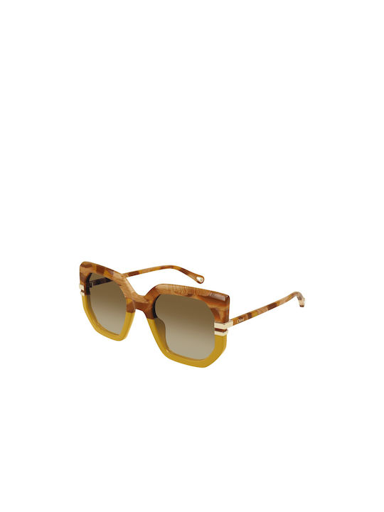 Chloe Women's Sunglasses with Yellow Tartaruga Plastic Frame and Brown Gradient Lens