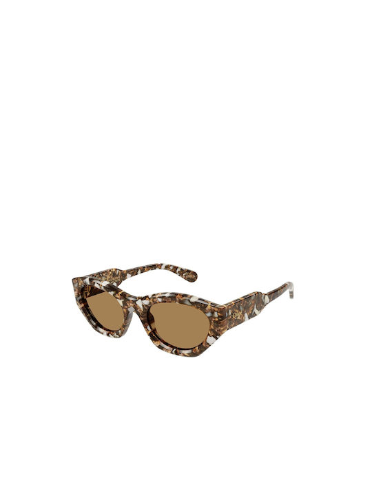 Chloe Women's Sunglasses with Multicolour Tartaruga Plastic Frame and Brown Lens