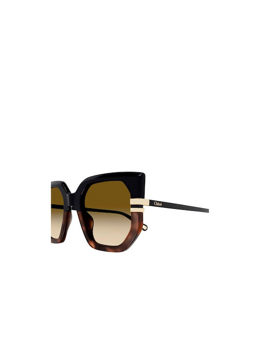 Chloe Women's Sunglasses with Brown Tartaruga Plastic Frame and Brown Gradient Lens