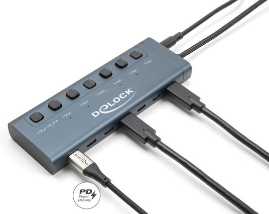 DeLock Hub 10 Porturi USB 2.0 cu Conectare USB-C Albastru