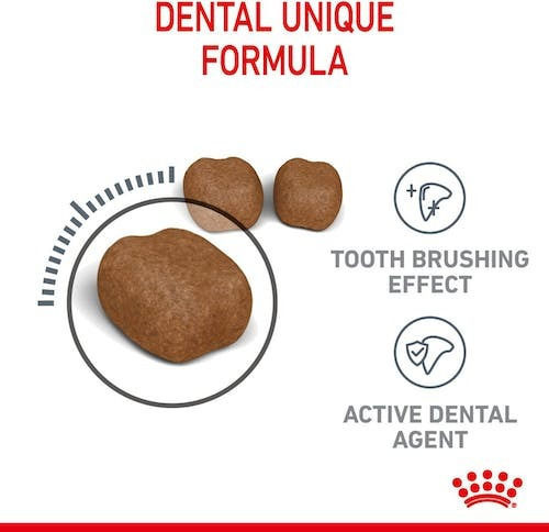 Royal Canin Oral Care Суха Храна за Възрастни Котки с Птици / Ориз 0.4кг