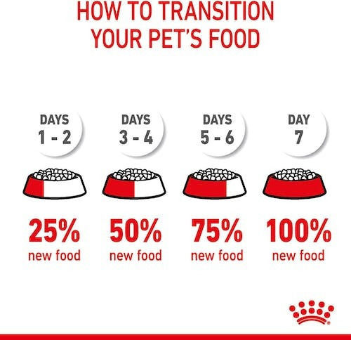 Royal Canin Oral Care Ξηρά Τροφή για Ενήλικες Γάτες με Πουλερικά / Ρύζι 0.4kg