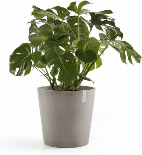 Ecopots Ghiveci Plastic Taupe 60x60x56cm.