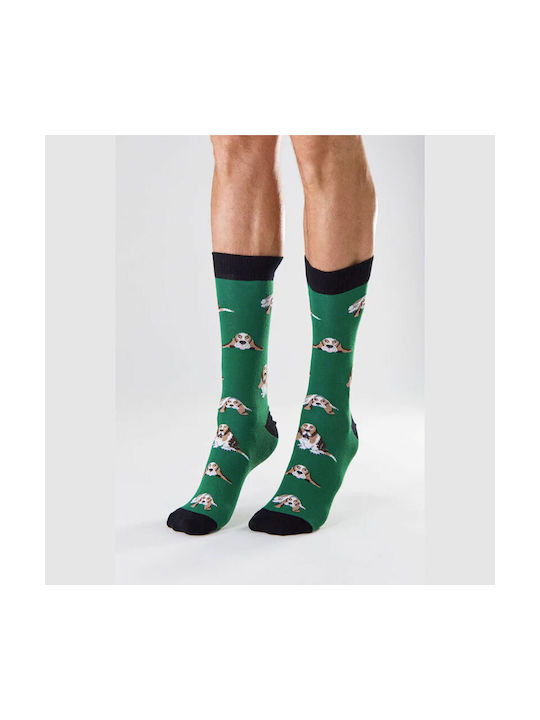 Besocks Women's Socks Green.