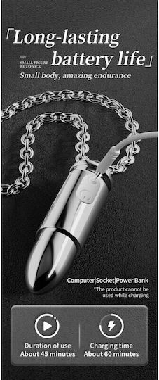 Δονητής Bullet Ασημί