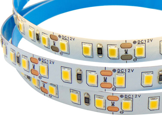 Wellmax LED Strip 12V Natural White Light 1m Type SMD2835