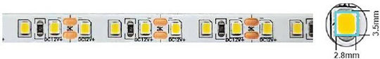 Vito Waterproof LED Strip 12V Warm White Light 5m Type SMD2835