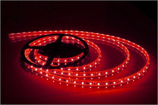 Waterproof LED Strip 12V Red Light 5m Type SMD3528