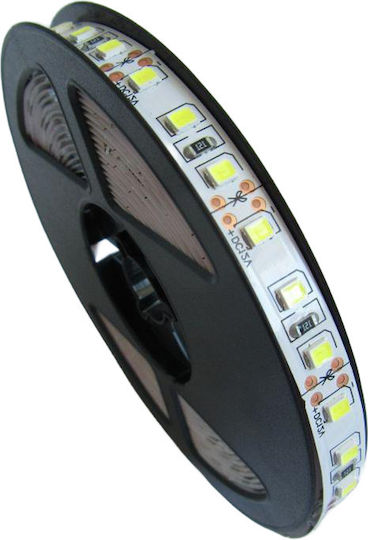 Eco Light Ταινία LED 12V 5m Τύπου SMD2835