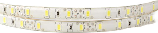 Eco Light Bandă LED 12V 5m