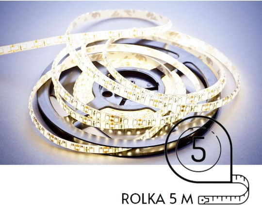 Greenie Rezistent la apă Bandă LED 220V 5m