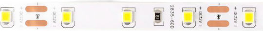 Eco Light LED Лента 12V Неутрално бяло Светлина 5м Тип SMD2835