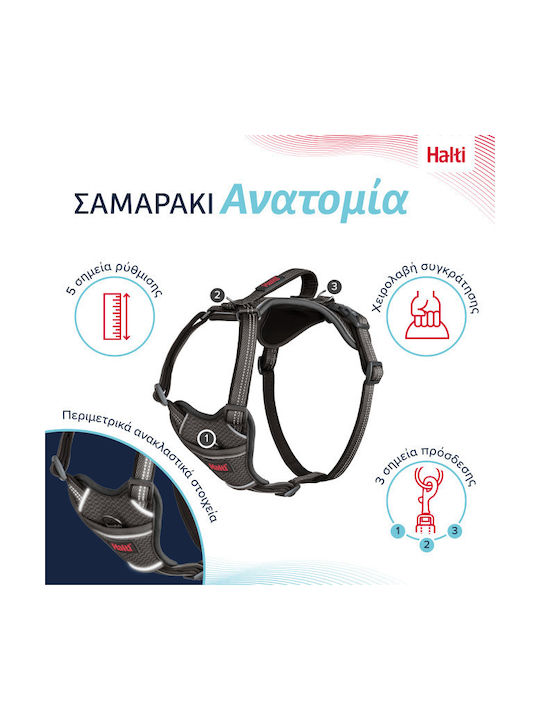 Halti Σαμαράκι Σκύλου Harness Γκρι Large 47103A