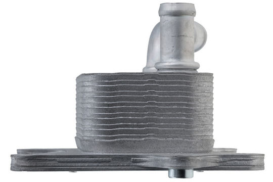 NTY Car Oil Radiator for Renault Espace / Fluence / Grand Scenic / Kadjar / Koleos / Megane / Scenic / Talisman Volkswagen CC Nissan Qashqai / X-Trail