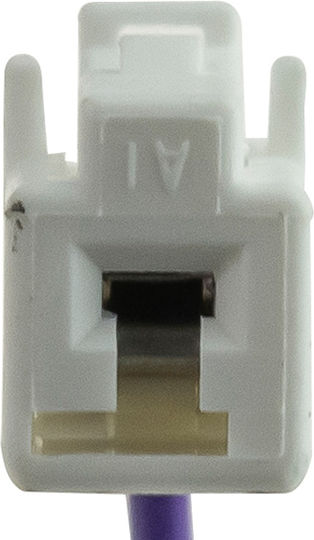NTY Airbag Spiral Cable 2004