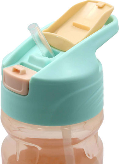 Gim Flip Water Bottle 500ml Frozen