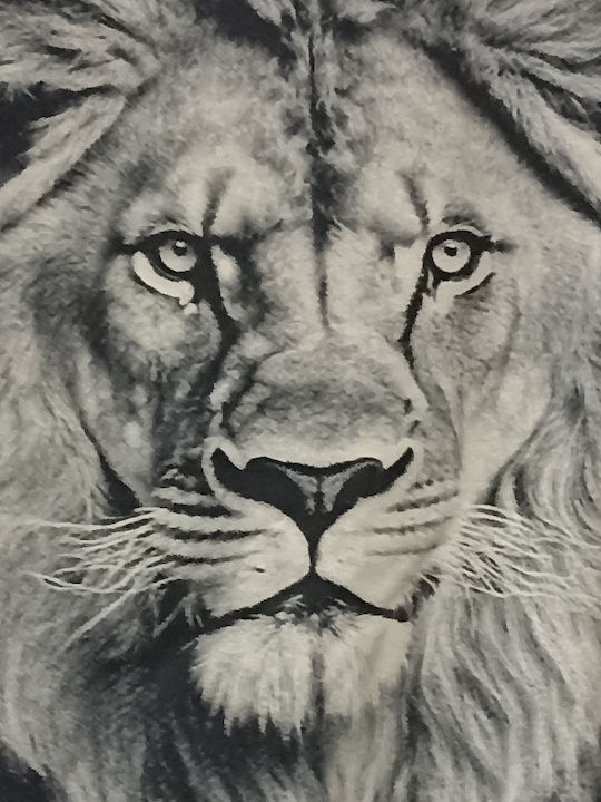 Apple Ανδρική Πυτζάμα Lion Βαμβάκι Normal Fit Μαύρο