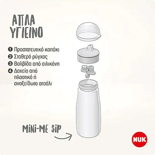 Nuk Container Rosa für 9+ Monate 1Stück