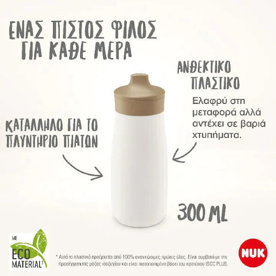 Nuk Container Rosa für 9+ Monate 1Stück