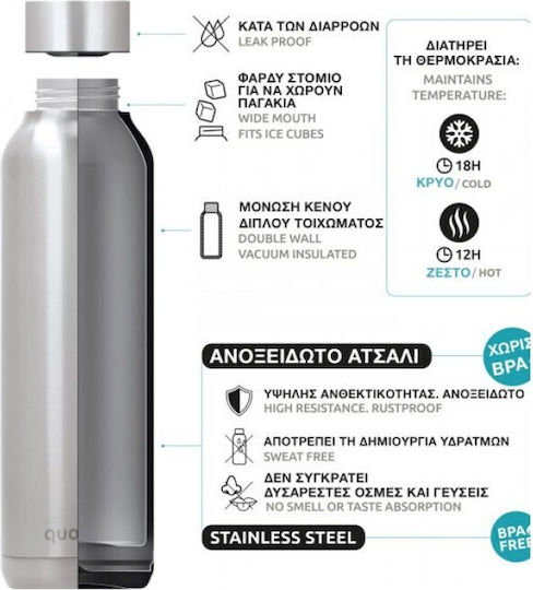Quokka Jungle Stainless Steel Kids Water Bottle Dinosaurs Thermos with Screw-on Cap Non Spill 330ml (Various Designs/Colours)