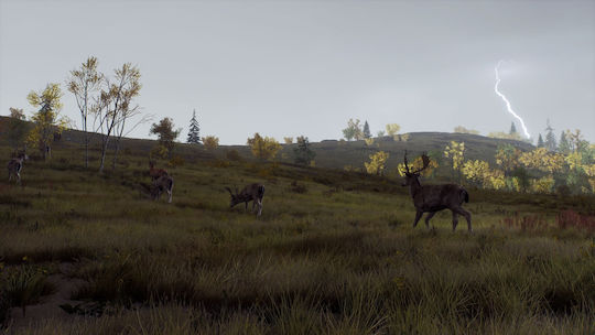 Way of the Hunter Wild Expeditions PS5 Game