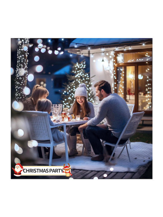 Lights LED 50m. Cold White in String 1pcs