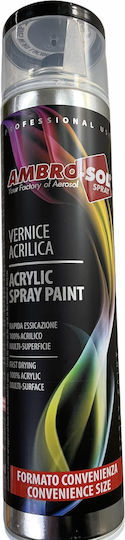 Ambro-Sol Spray Paint V600 Acrylic With Shiny Effect Black RAL 9005 600ml
