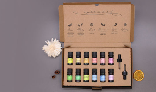 Aromatherapy Set Pure Essential Oils Starter Pack Σετ 12 Αιθέρια Έλαια 5ml