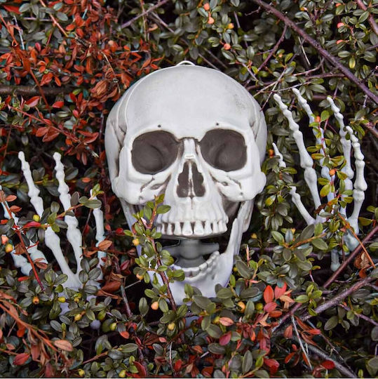 Human Skeleton 45x170 cm Carnival Accessory White for Halloween made of Plastic 1pcs