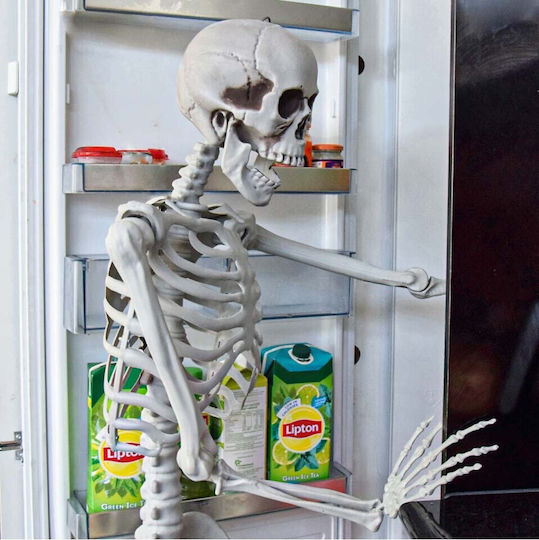 Human Skeleton 45x170 cm Carnival Accessory White for Halloween made of Plastic 1pcs