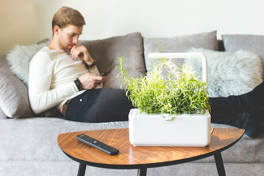 Click and Grow The Smart Garden 3 Self-watering Planter Box Plastic White 32x23x21cm.