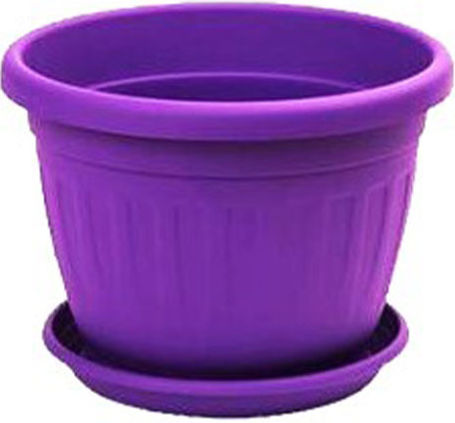 Viosarp 5206753014775