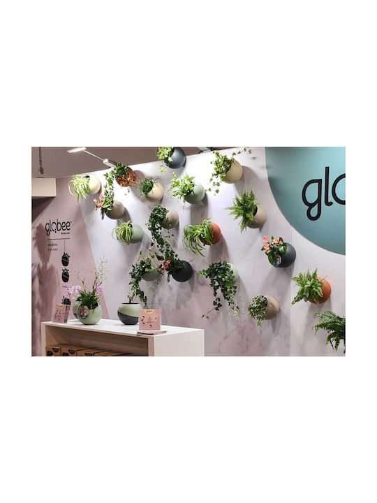 Globee Ghiveci Plastic