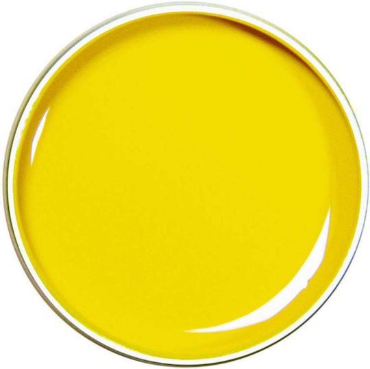 Alezori Painting Gel Νυχιών Yellow 10gr