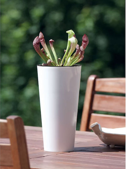 Prosperplast Tubus Slim Pot Plastic 20x20x38.1cm.