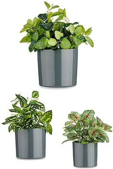 Arte Regal Set 3 Blumentöpfe Kunststoff Charcoal