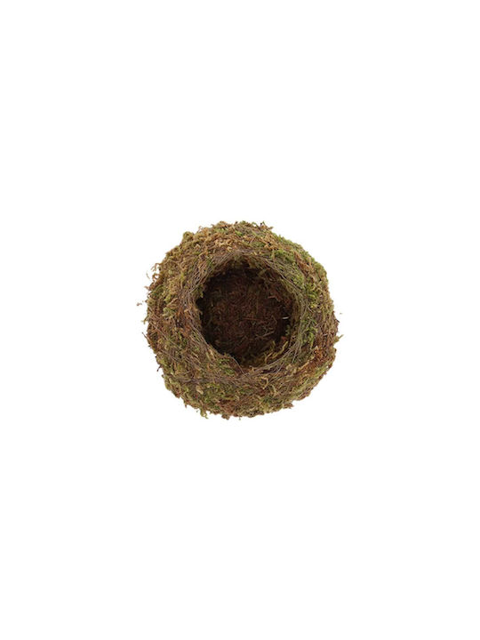 Kokedama Ball Small