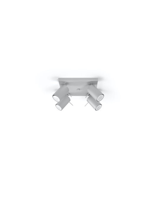Sollux Ring Spot mit 4 Lichtern und mit Fassung GU10 in Gray Farbe