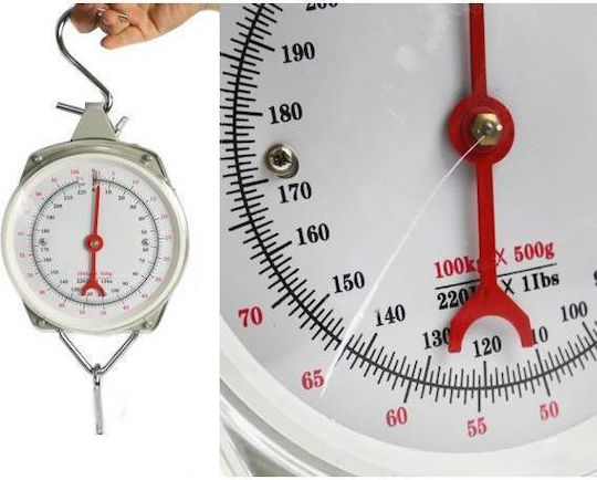 Camry Analog Professional Hanging Scale with Weighing Capacity of 100kg and Division 500gr